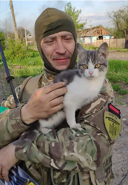 Олексій Мовчан, Віртуальна алея памʼяті, Герої України